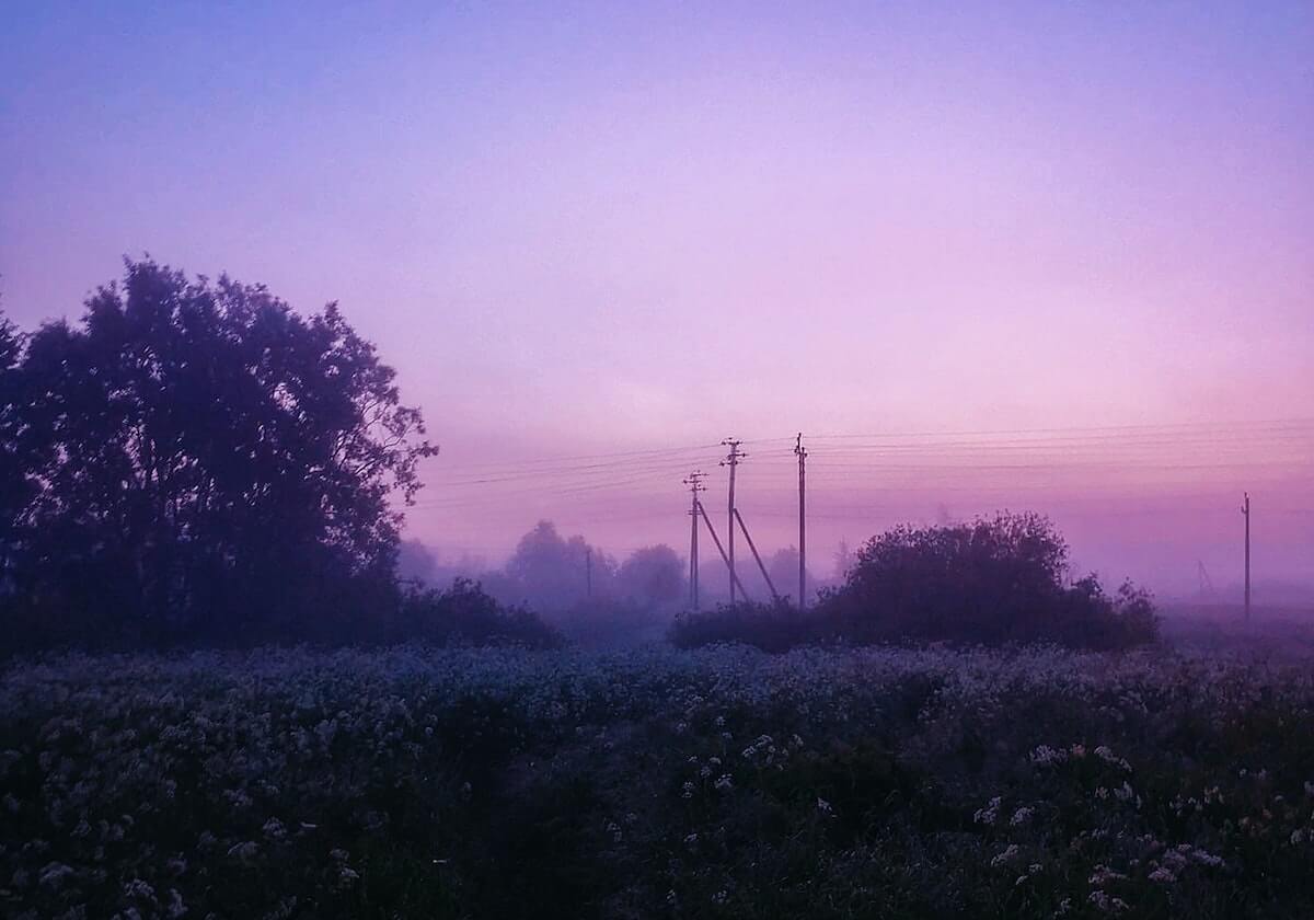 betvictor伟德(中国)唯一官方网站——安全、便捷的线上娱乐首选